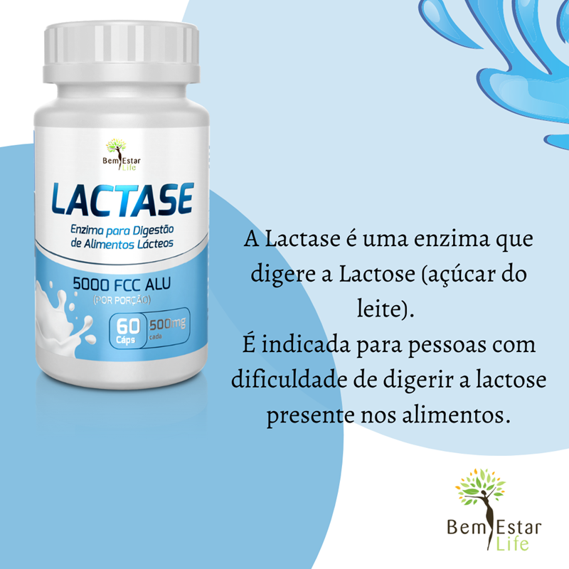 Lactase 1