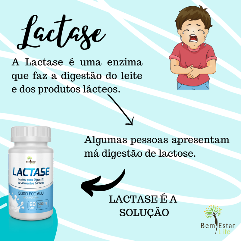 Lactase1