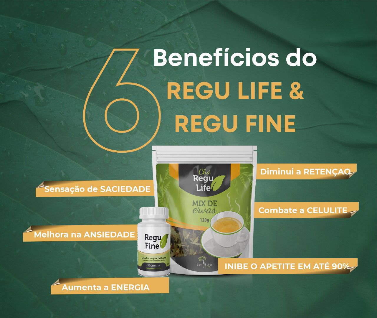 ceb86648-dcf7-4fc5-82f1-a081ffbe6510